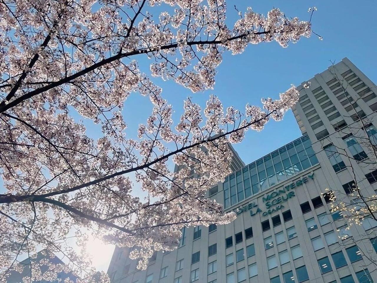 Hotel Monterey La Soeur Ōsaka Exterior foto